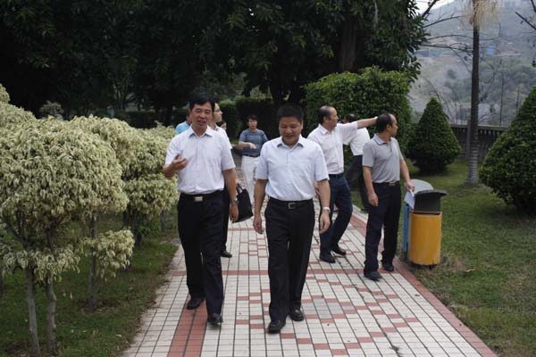 分公司签约成合作伙伴