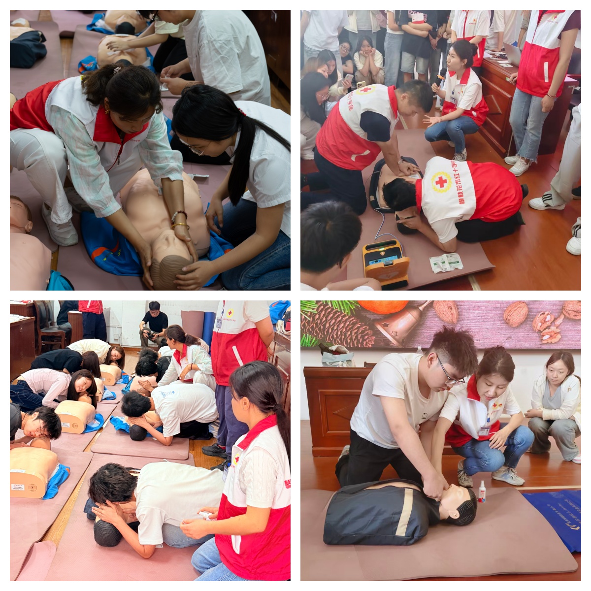 守护生命，“救”在身边——学校红十字会举办2026年第一学期应急救护培训